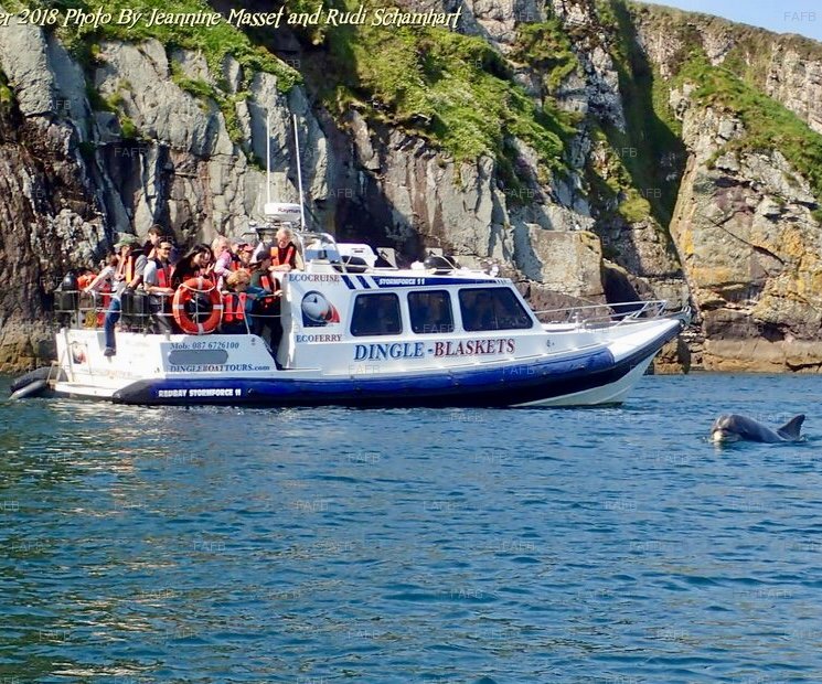 Redbay Stormforce 11