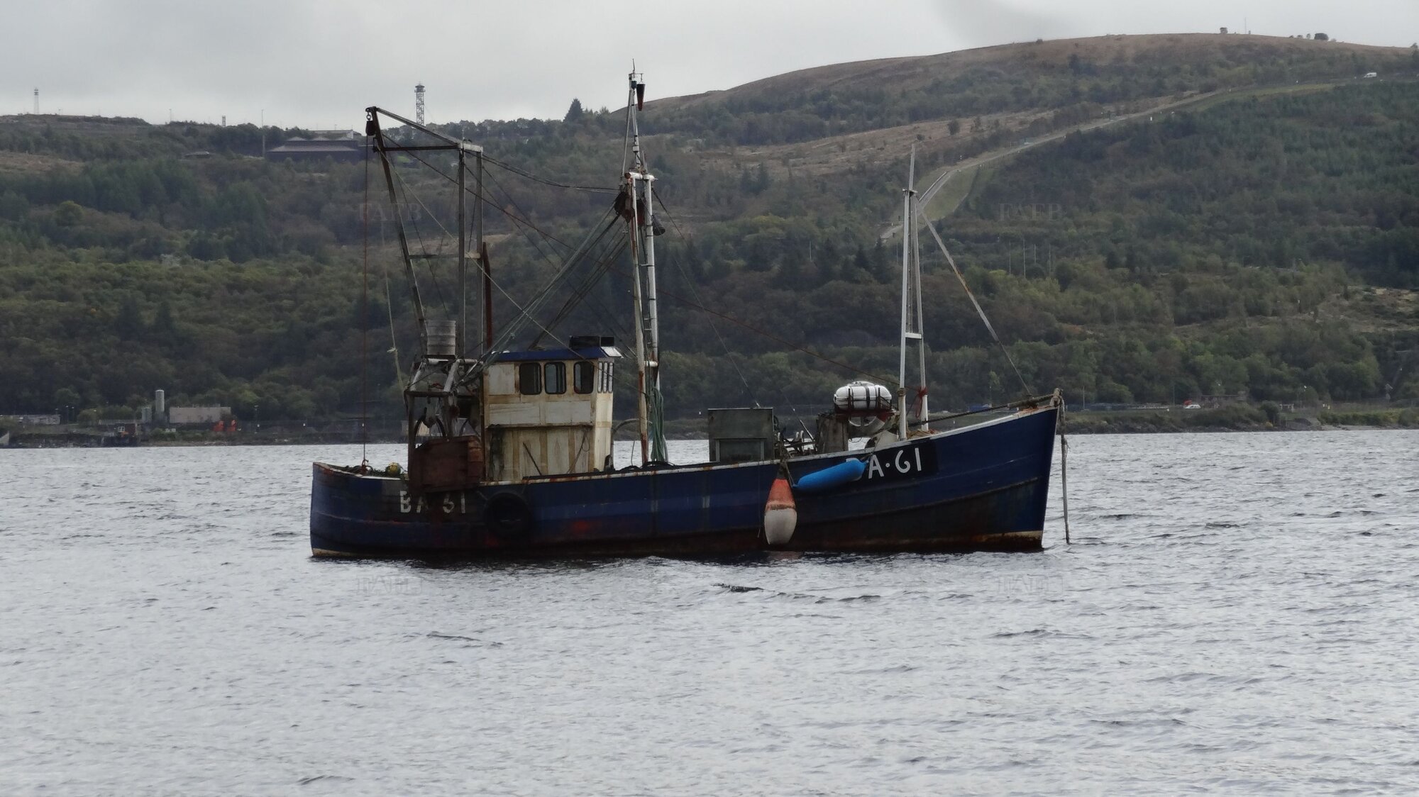 Large picture for advert 120345
