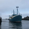 Extra picture for advert 109895