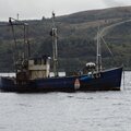 Extra picture for advert 120345