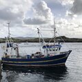 Extra picture for advert 124295